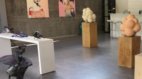 foto sculpuren en schilderijen in het kunsthuis