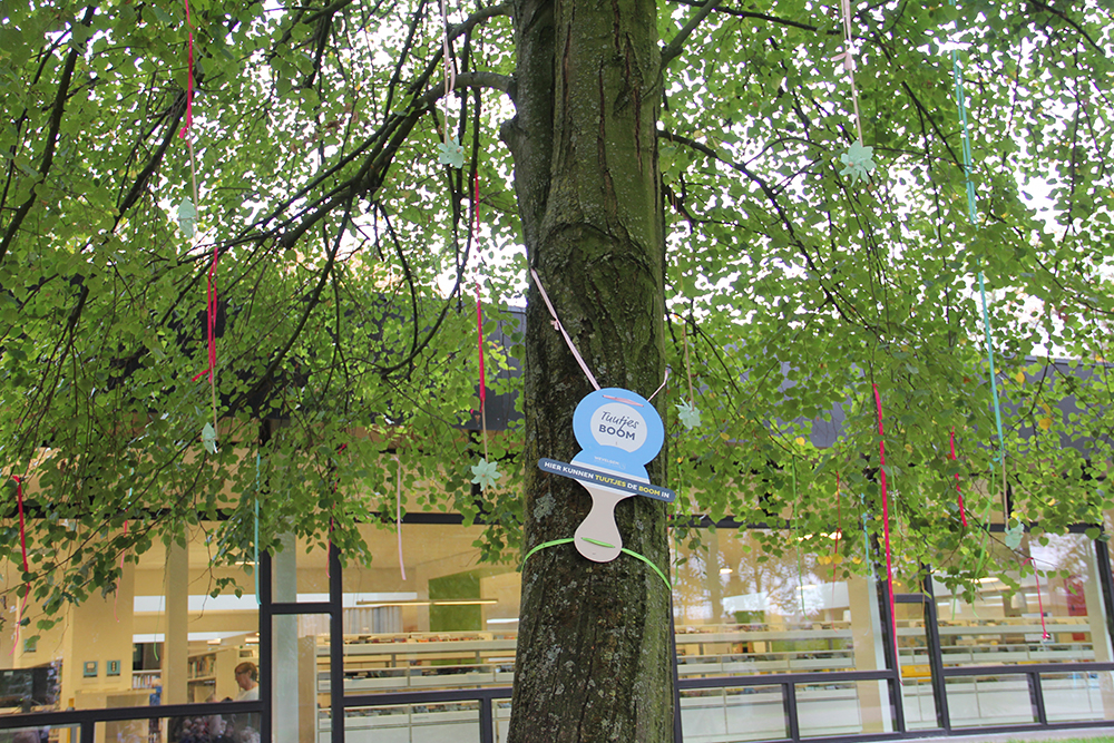 Tuutjesboom Park Wevelgem, boom met daarop een grote fopsteen aan vastgebonden