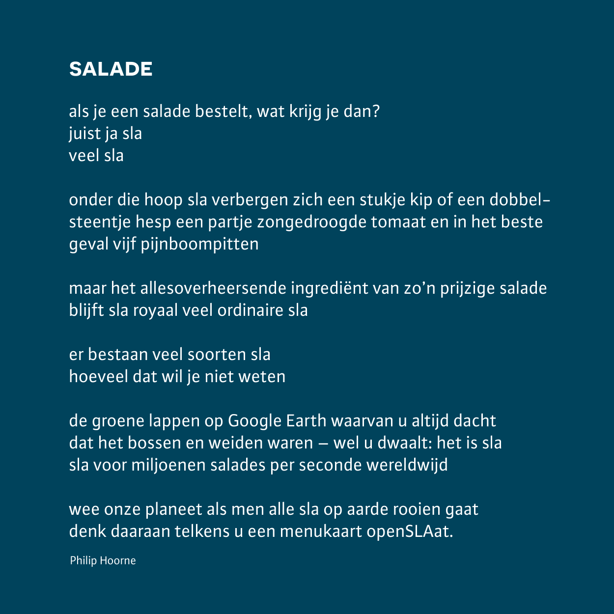 salade - philip Hoorne