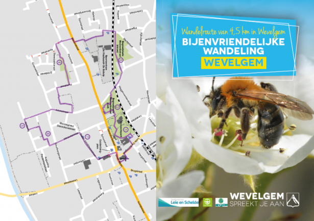 bijenvriendelijke wandeling van 4.5 km in Wevelgem